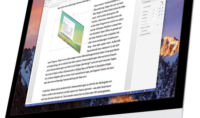 Mit Grafiken und Bilddateien kann jede der Textverarbeitungen umgehen – Word bietet sogar einige 3D-Effekte.