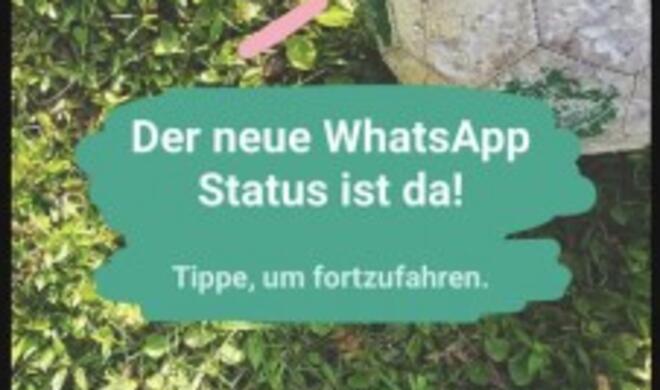 Der neue WhatsApp-Status gefällt vielen Anwendern nicht 