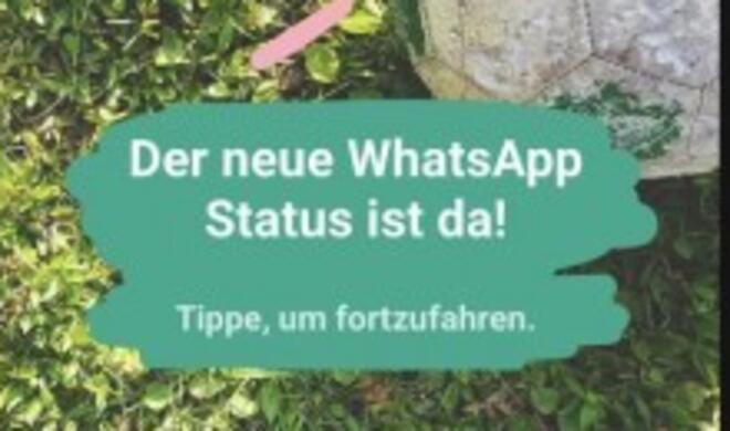 Der umstrittene WhatsApp-Status
