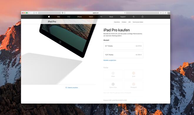 Noch ist der Apple Store online