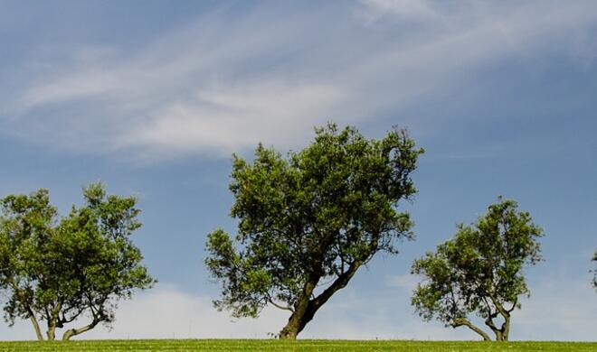 Apple macht wieder Schulden im Namen der Umwelt