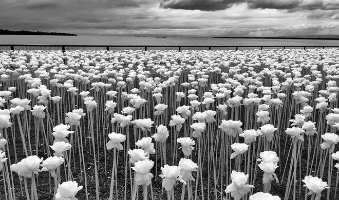 1. Platz der Kategorie „Floral“