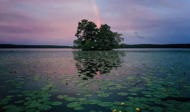 1. Platz der Kategorie „Nature“