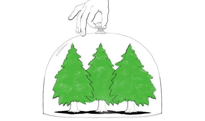 Apple sorgt für verantwortungsvollen Umgang mit natürlichen Ressourcen