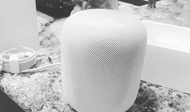 Auf Instagram zeigt sich der erste HomePod außerhalb von Apples Räumen