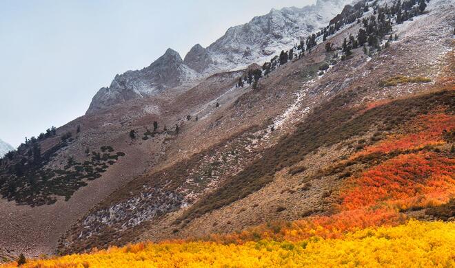 Die offizielle Modellbezeichnung Ihres Mac finden Sie in der Übersicht der Funktion „Über diesen Mac“, im Apple-Menü.