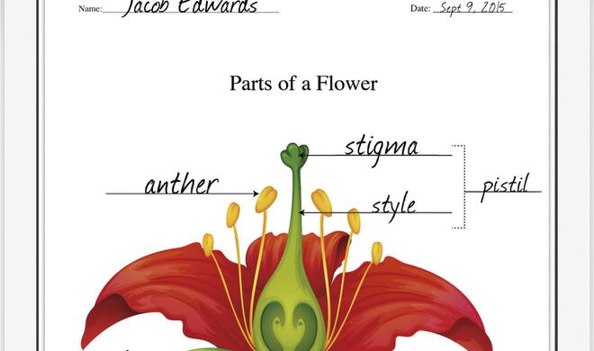 In den USA „integrieren“ Ärzte das iPad seit Jahren in den Behandlungsplan ihrer Patienten.