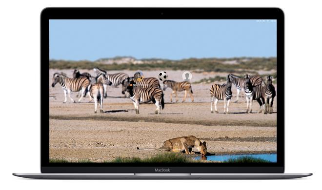 Hintergrundbild Beim Login Bildschirm Am Mac Wechseln So Geht S