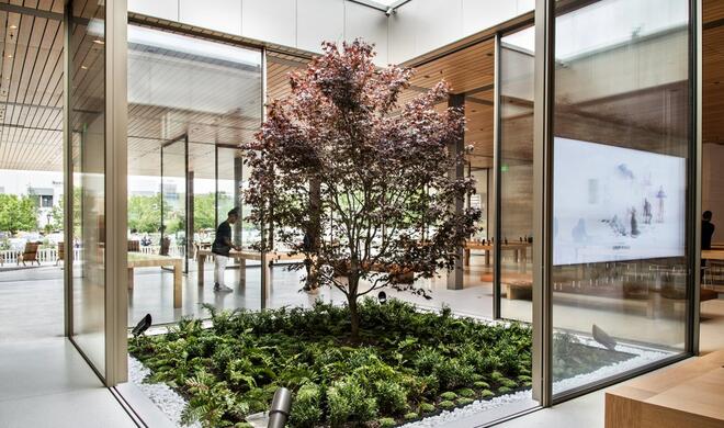 Atrium-Innenhof im neuen Apple Store in Seattle
