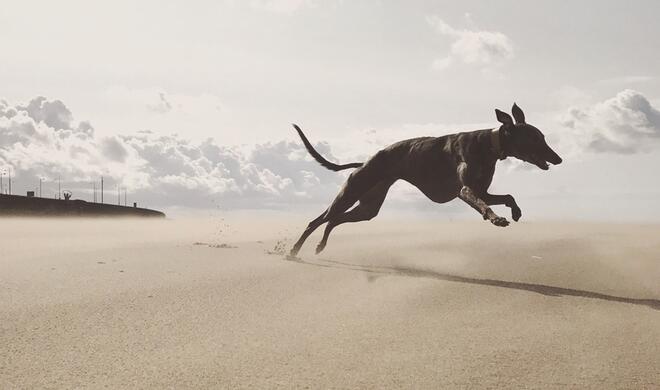 0 to not-quite-Seagull-speed in 60 seconds