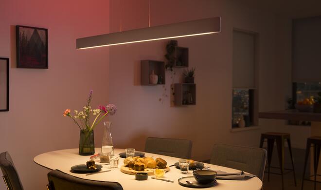 Philips Hue Ensis