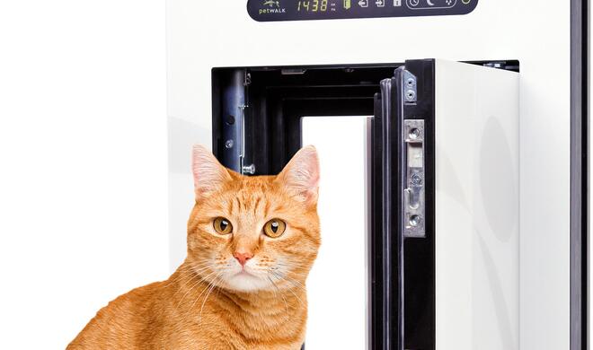 Petwalk: Was aussieht wie ein Tresor, ist eine gut gesicherte Katzenklappe