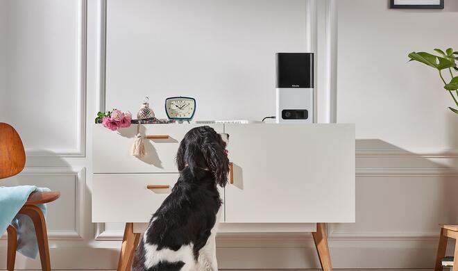 Petcube Bites: Futterautomat mit Überwachungskamera