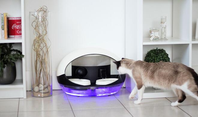 Catspad: App-gesteuerter Futter- und Wasserspender