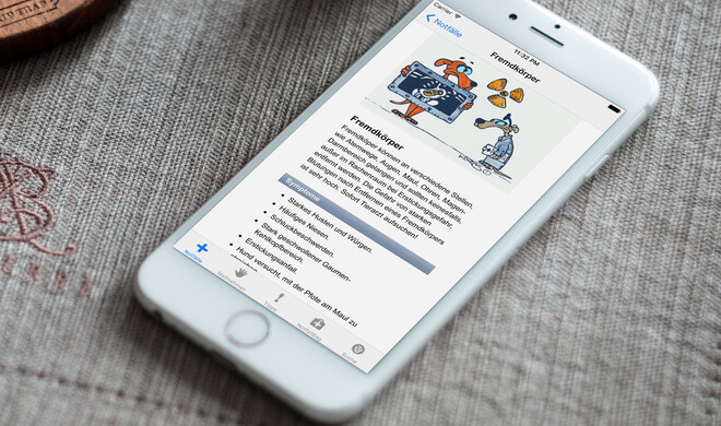 Erste Hilfe für Hunde