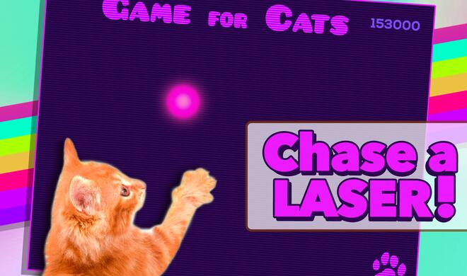 Game for Cats