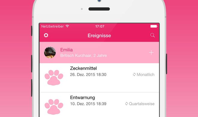 Meine Katze – Gesundheit und Pflege