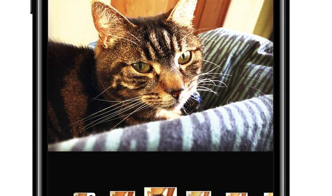 Procamera auf dem iPhone