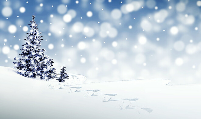 Verrückte Weihnachten