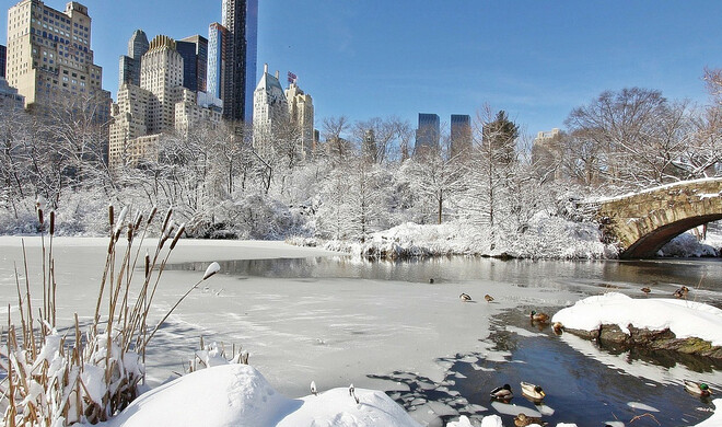 Kevin - Allein in New York