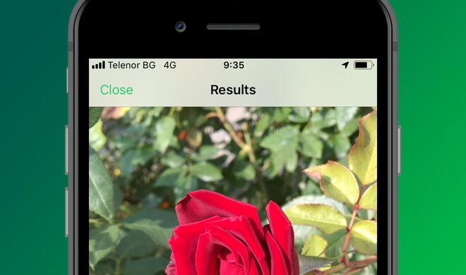 Plantsnap - Pflanzen bestimmen