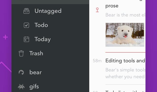 Bear Writer