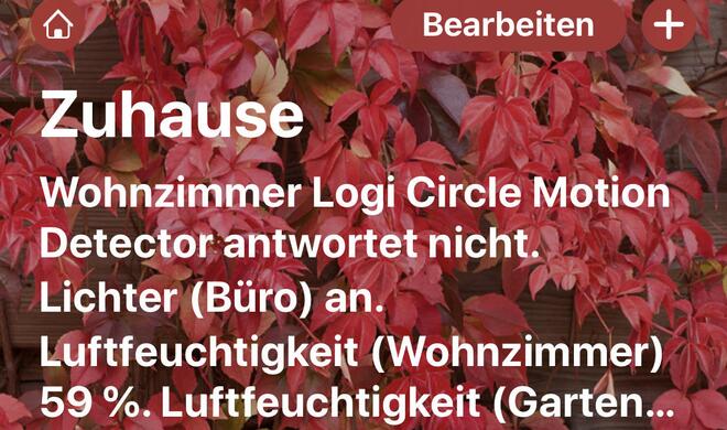 Auf dem iPhone ist es wegen des eher kleinen Bildschirms schwierig, einen Überblick über alle Geräte zu bekommen. Zum Steuern ist das iPhone aber sehr gut geeignet.