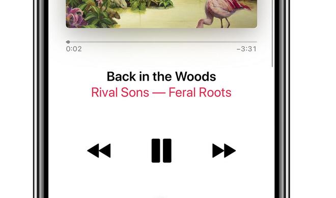 Apples Musik-App