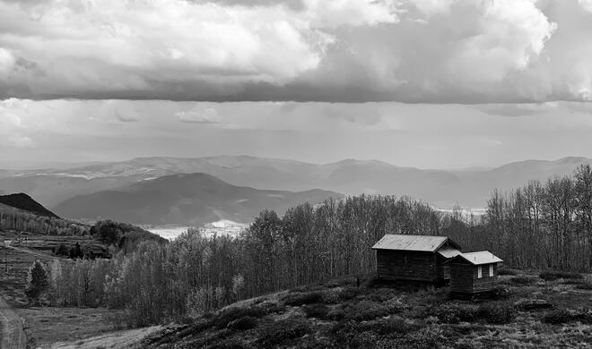 USA, iPhone XS Max, IG: @bernardantolin