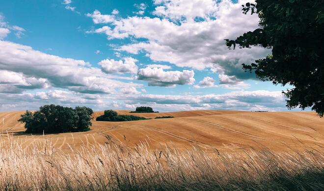 Deutschland, iPhone 7, IG: @yungbrioche