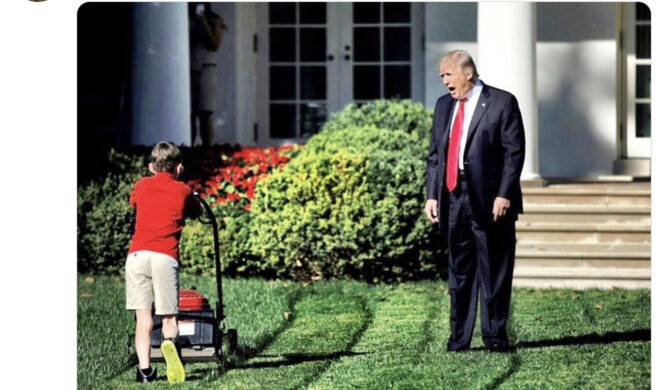 Hat jemand Tim Apple gesehen?