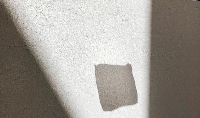 „In the Wind“
Ort: Deutschland
Aufgenommen mit iPhone SE