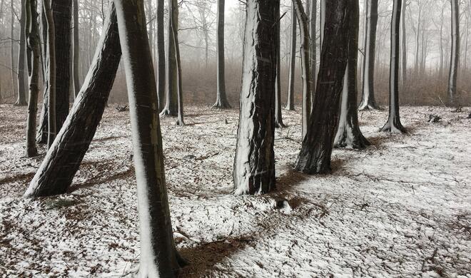 „Snowshadow“
Ort: Rügen, Ostsee
Aufgenommen mit iPhone 6S