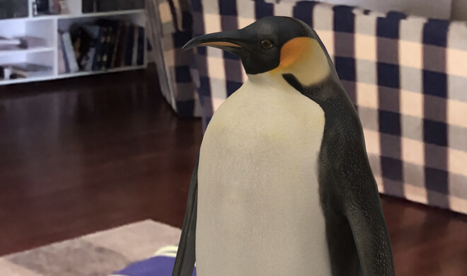 Pinguin in der erweiterten Realität als Suchergebnis bei Google