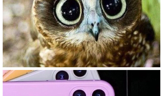 Ist die nicht süß?