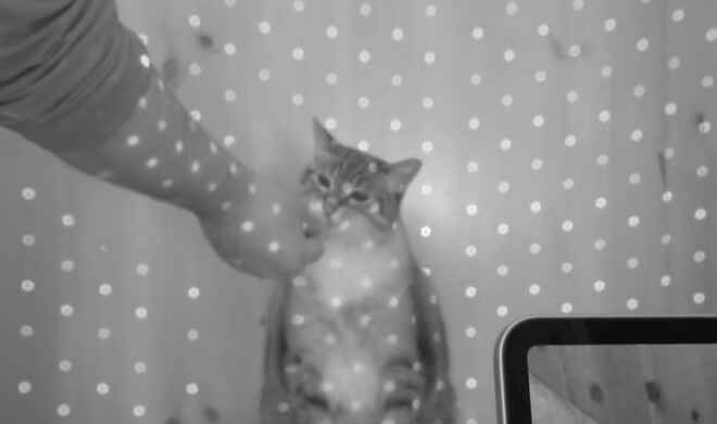 Das Projektionsmuster des LiDAR