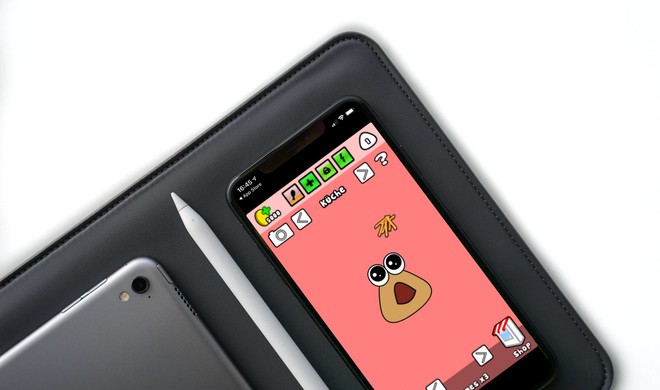 Pou
