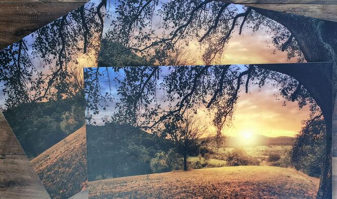 Auf Forex-Platten können Sie Ihre Lieblingsfotos kostengünstig als XXL-Wandbilder drucken lassen.