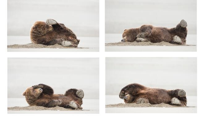 Deadly Fart | Amazing Internet Portfolio Award