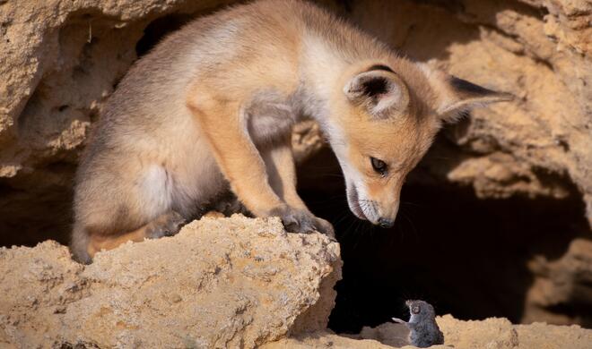 Tough negotiations | Highly Commended Winners 2020