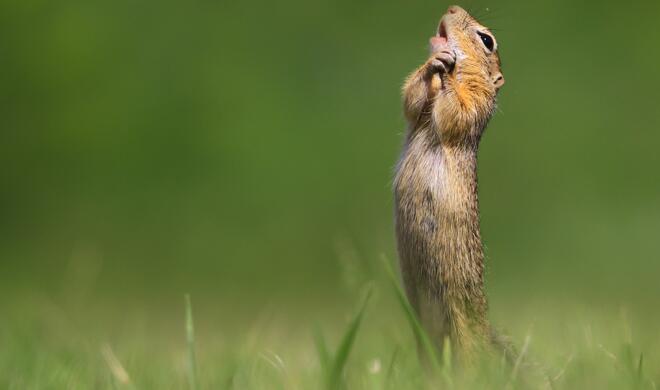 O Sole Mio | Affinity Photo Peoples Choice Award