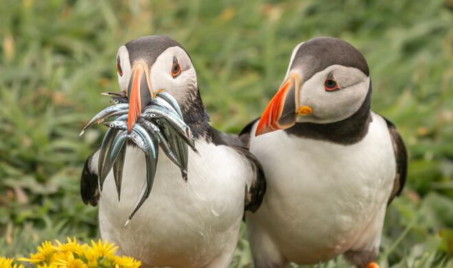 Seriously, would you share some | Highly Commended Winners 2020