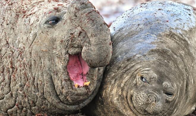 I had to stay late at work | Highly Commended Winners 2020