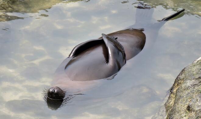 Sun Salutation Class | Highly Commended Winners 2020