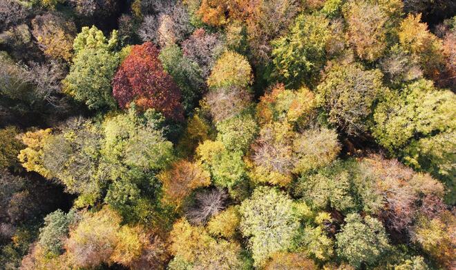 Mit zeitgesteuerten Aufnahmen kann man sich ein paar Sekunden mehr Zeit nehmen, bevor man ein Foto aufnimmt.