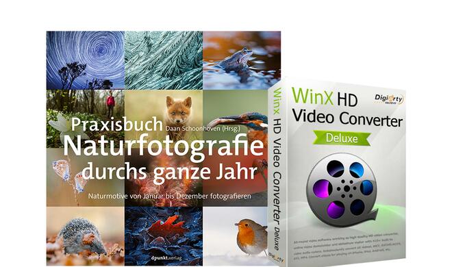 Das vierte Türchen unseres Adventskalenders 2020.