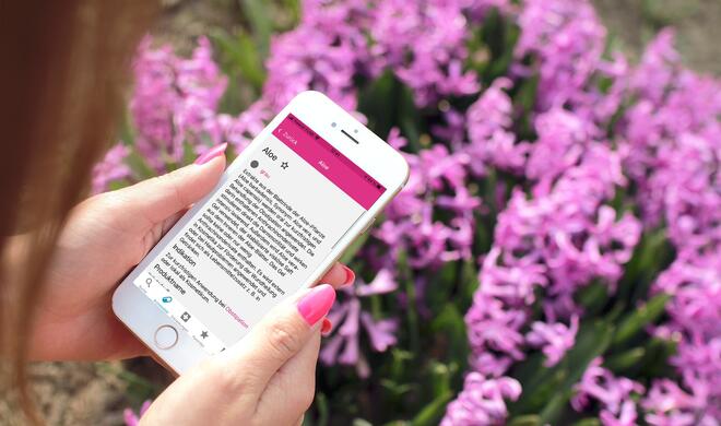 Die Arzneimitteldatenbank der Charité gibt es auch als kostenlose iPhone-App.