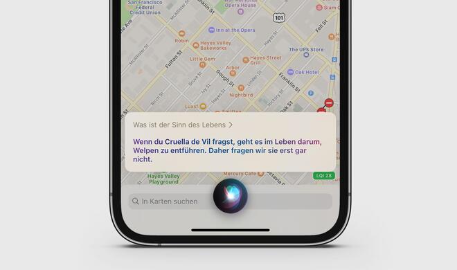 Was ist der Sinn des Lebens?