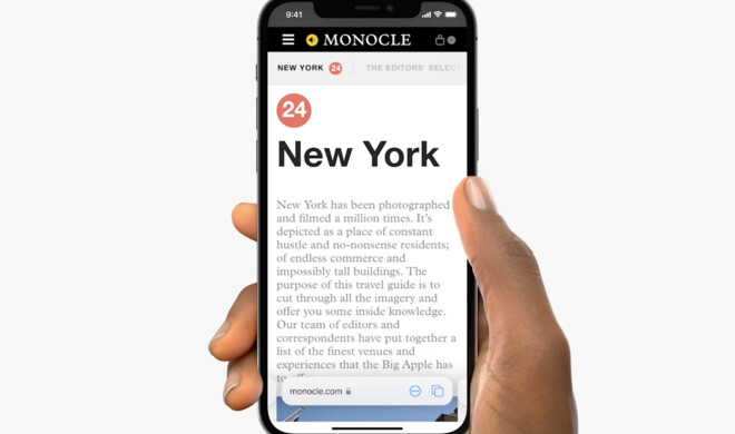 Safari im neuen Design