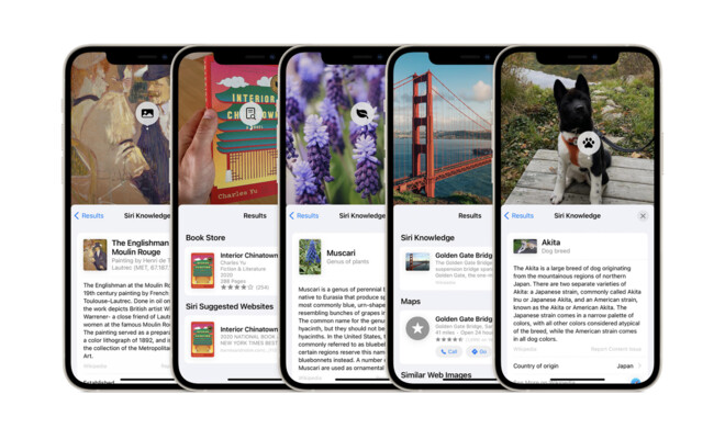 In iOS 15 kannst du Motive visuell nachschlagen